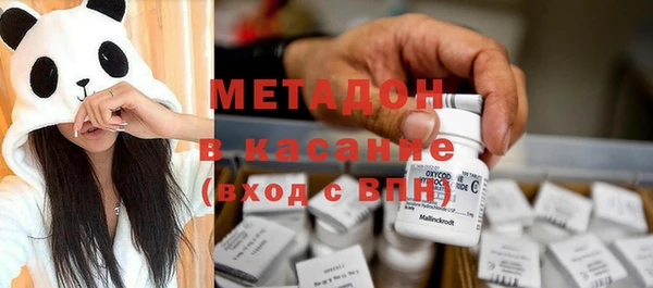 прущие грибы Пестово