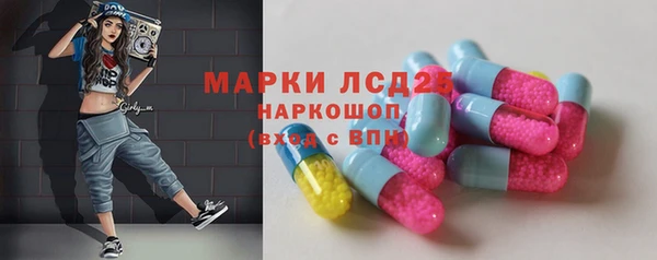 прущие грибы Пестово
