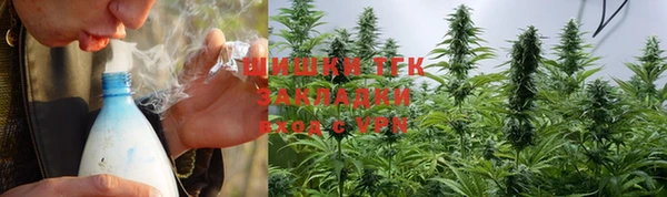 прущие грибы Пестово