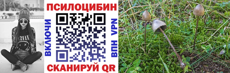Галлюциногенные грибы ЛСД  Серафимович 